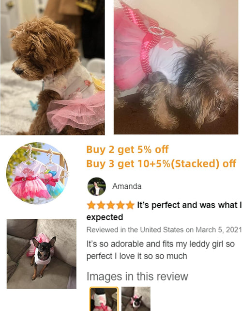 Load image into Gallery viewer, Pet Dog Dress Cute Girl Dogs Lace Skirt Puppy Princess Jumpsuit Party Floral Dresses Ribbon Bow Doggie Costumes
