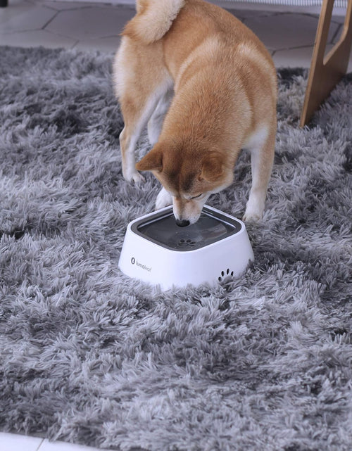 Load image into Gallery viewer, Dog Water Bowl, Dog Bowl No-Spill Pet Water Bowl 35Oz, Slow Water Feeder Dog Bowl, Vehicle Carried Dog Water Bowl for Dogs/Cats/Pets
